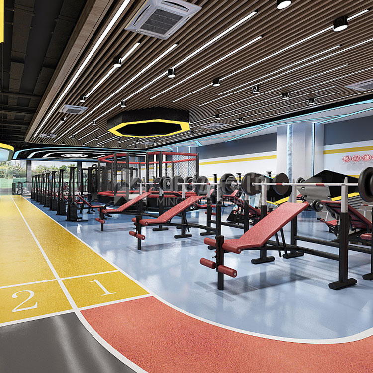 健身房設計 健身房設計